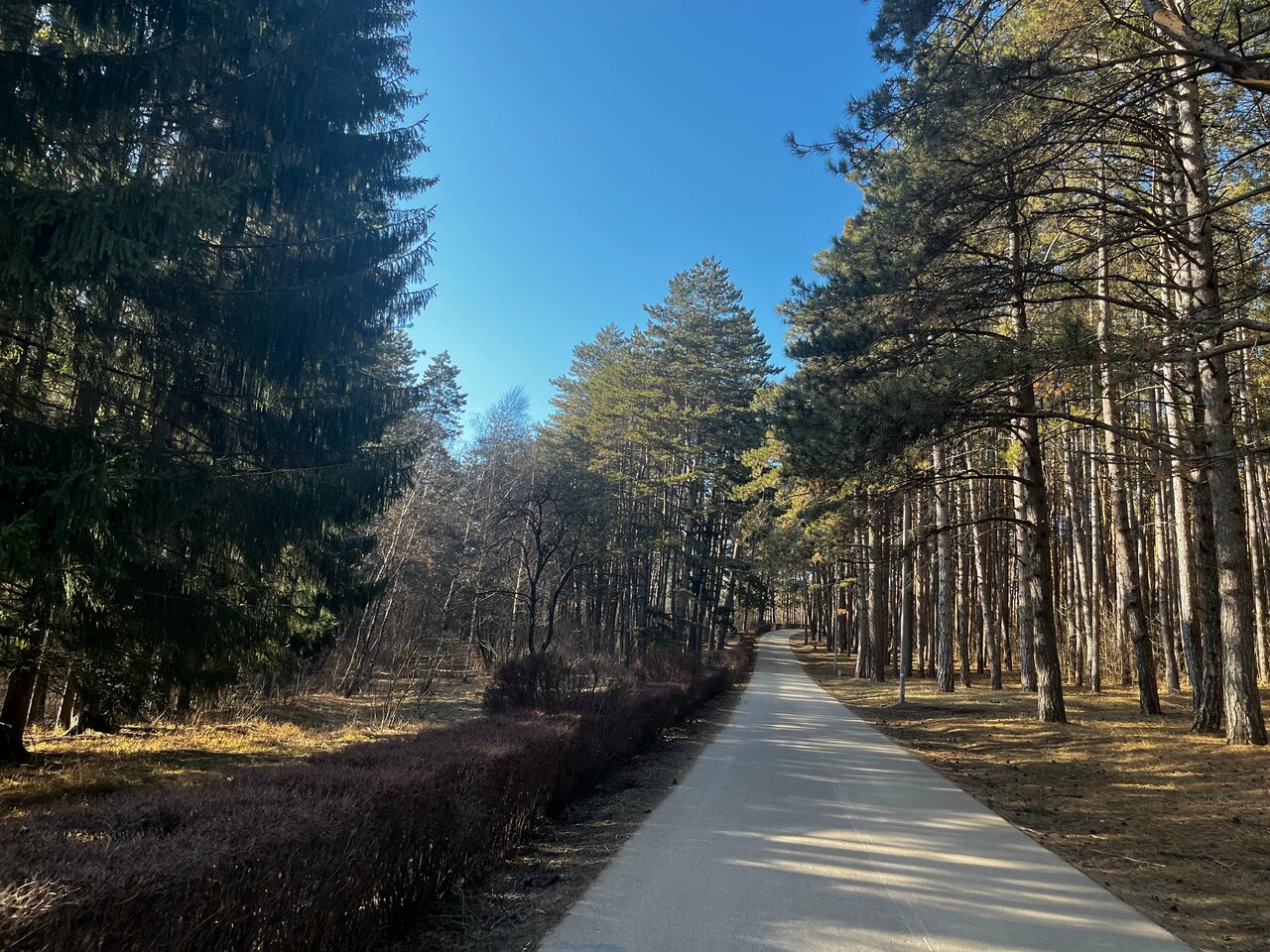 Гостиница Райгонд Кисловодск-226