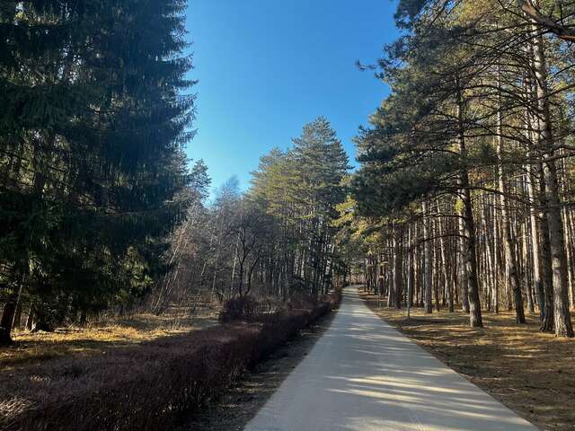 Гостиница Райгонд Кисловодск-225